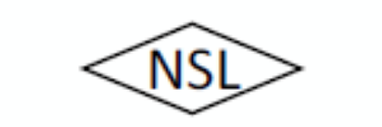 Picture for manufacturer Naina Semiconductor ltd.
